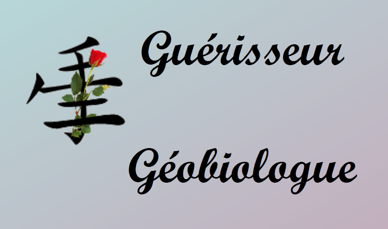 Massage des 5 continents